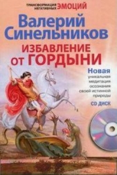 Избавление от гордыни - автор Синельников Валерий Владимирович 