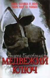 Медвежий ключ - автор Буровский Андрей Михайлович 