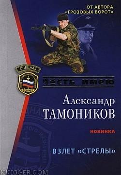 Тамоников Александр Александрович - Взлет «Стрелы»