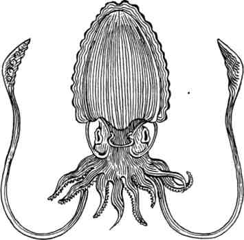 Произведение в алом - _35.jpg