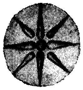 Измена по-венециански - i_012.png