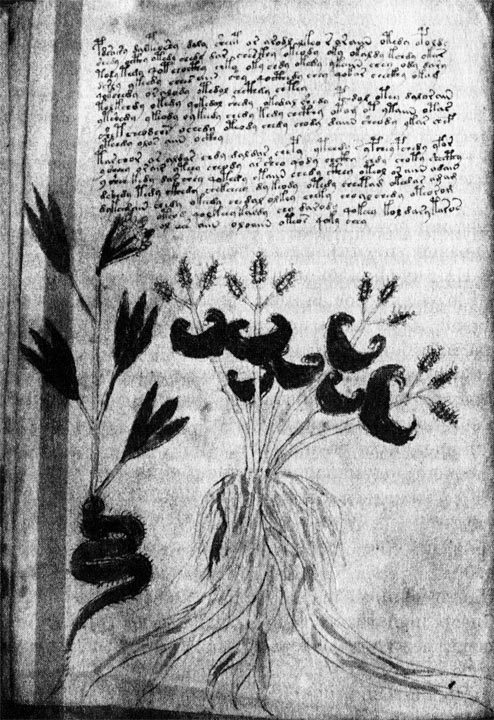 Язык небес - i_012.jpg