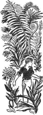 Путешествие на Утреннюю Звезду - pic_16.jpg