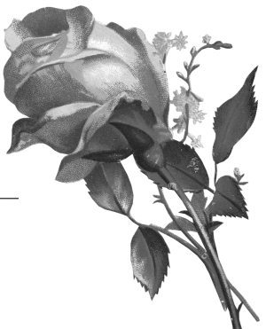 Сотвори свое будущее. Как силой мысли изменить судьбу - i_002.jpg