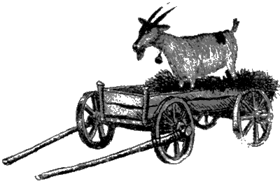 Бухтины вологодские завиральные - i_017.png