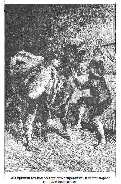 Без семьи (др. перевод) - i_009.jpg