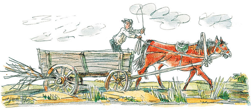 Весёлые рассказы для детей (сборник) - i_007.jpg