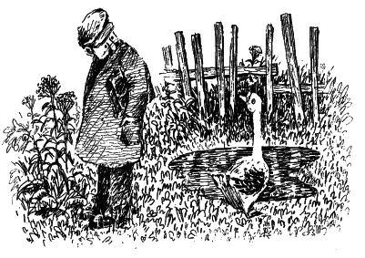 Рассказы для детей - i_001.png