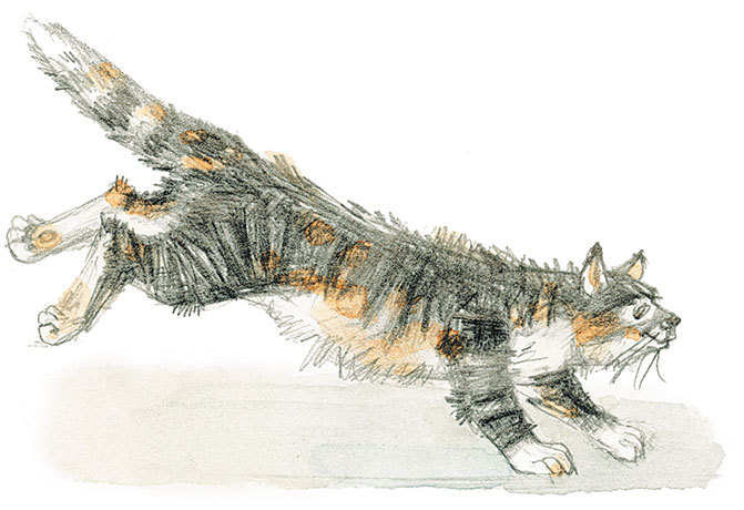 Самое главное - i_002.jpg