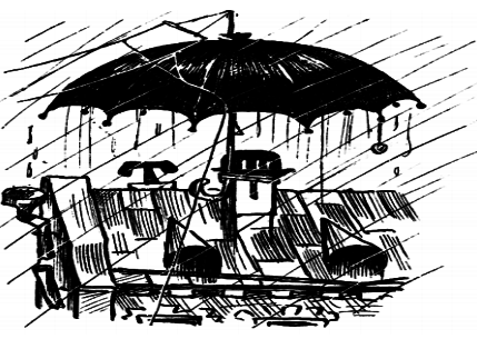 Том 3. Сентиментальные повести - i_039.png