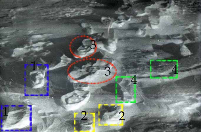 Смерть, идущая по следу… (интернет-версия) - Daytloffz_group_25_sledy.jpg