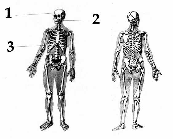 Смерть, идущая по следу… (интернет-версия) - Daytloffz_group_pic_T_Br.jpg