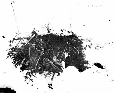 Смерть, идущая по следу… (интернет-версия) - Dyatloff_group_61.jpg