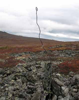 Смерть, идущая по следу… (интернет-версия) - Dyatloff_group_368.jpg