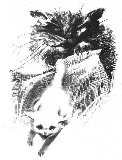 Дженни. Томасина. Ослиное чудо - gallico01.jpg