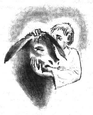 Дженни. Томасина. Ослиное чудо - gallico13.jpg