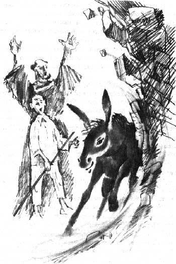 Дженни. Томасина. Ослиное чудо - gallico14.jpg