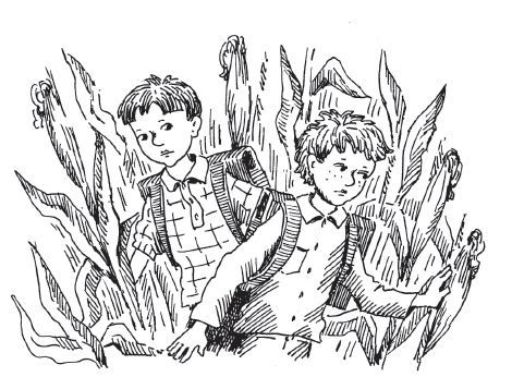 Пригода в кукурудзі (збірник) - i_001.jpg