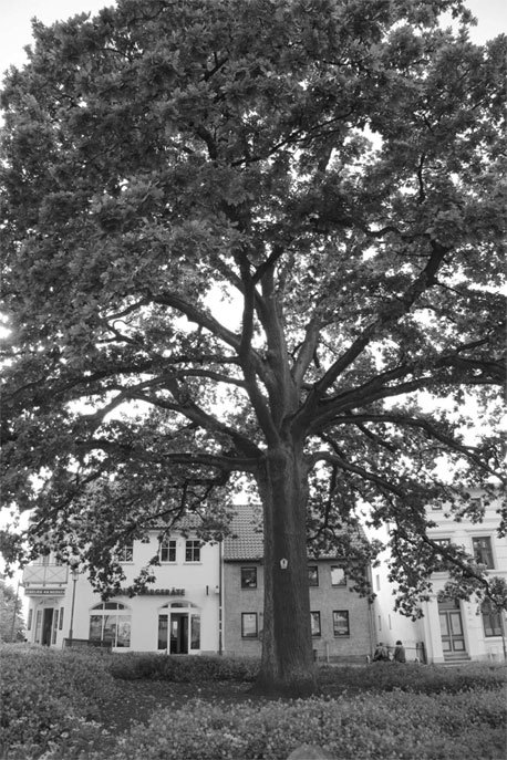 Последняя тайна Варяжской Руси. Мифы и правда о русской цивилизации - _1.jpg