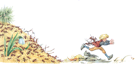 Дивовижні мандри Нільса з дикими гусьми - i_013.png