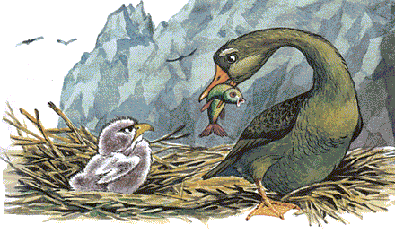 Дивовижні мандри Нільса з дикими гусьми - i_049.png