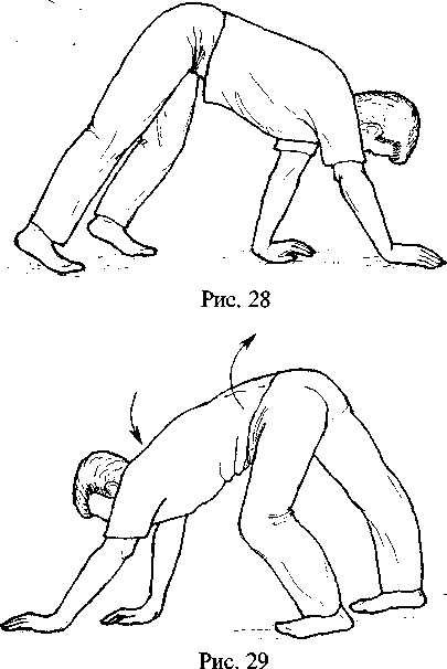 Диабет. Мифы и реальность - i_062.png