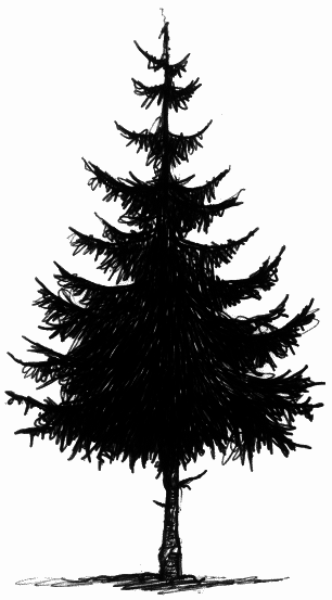 Мальчик по имени Рождество - tree_c.png