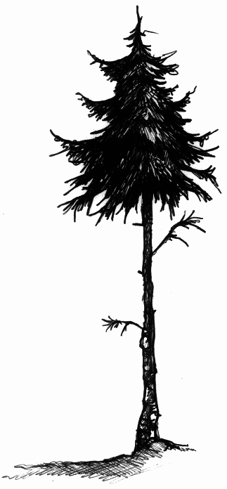 Мальчик по имени Рождество - tree_e.png