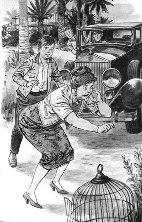 Тайна попугая-заики - _2.jpg