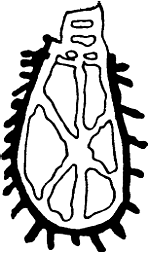 Гарики на все времена (Том 2) - _13.png