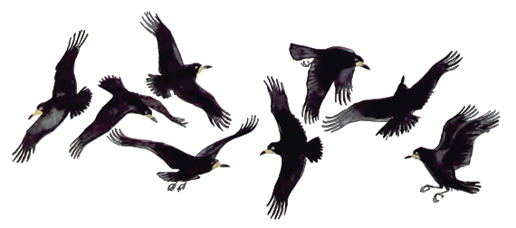 Весеннее небо - i_006.png