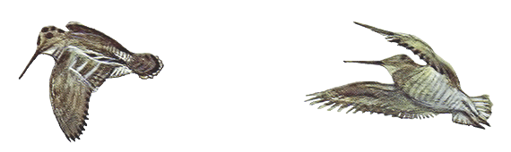 Весеннее небо - i_010.png