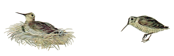 Весеннее небо - i_011.png