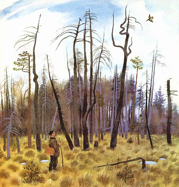 Весеннее небо - i_014.jpg