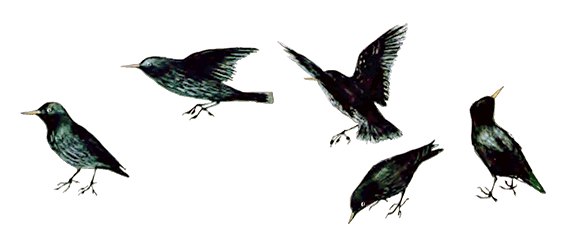 Весеннее небо - i_019.png