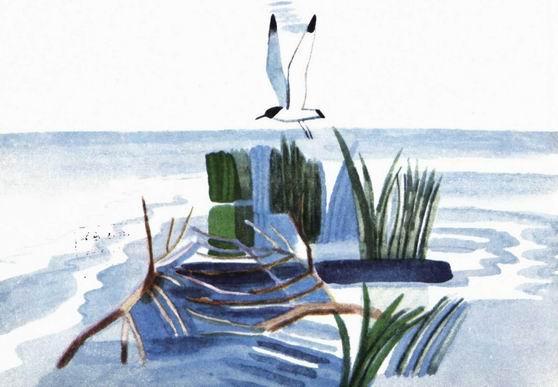 Воробьиное озеро (авторский сборник) - i_001.jpg