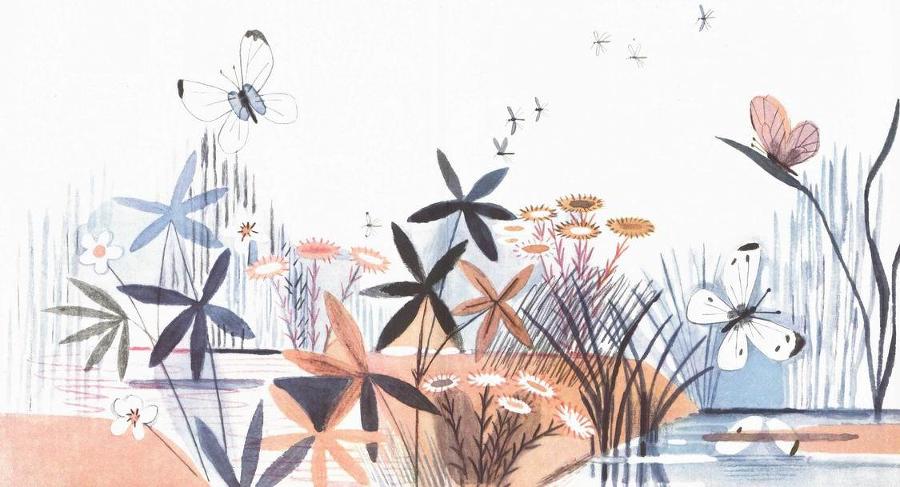 Воробьиное озеро (авторский сборник) - i_002.jpg