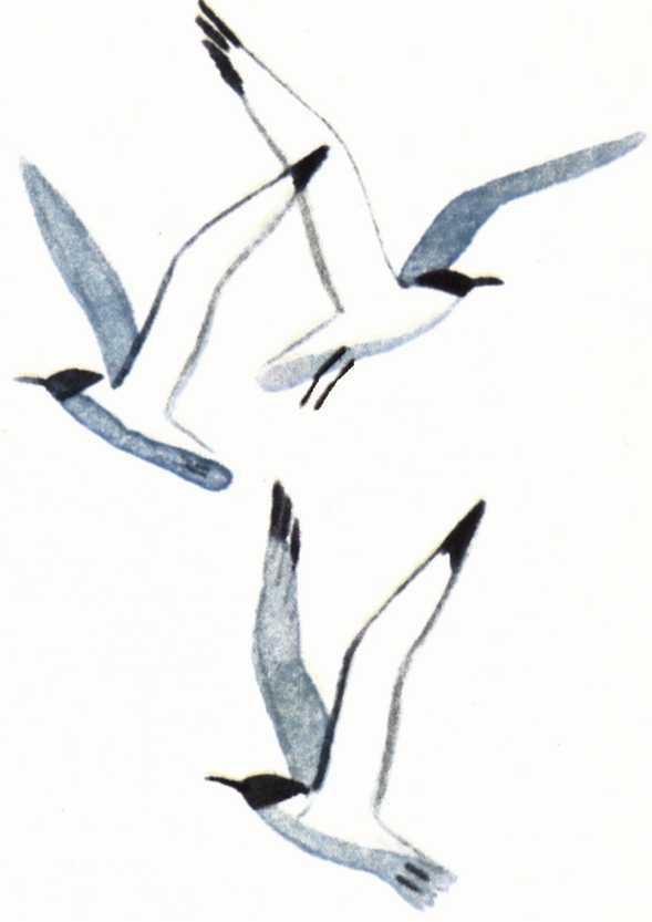 Воробьиное озеро (авторский сборник) - i_005.jpg