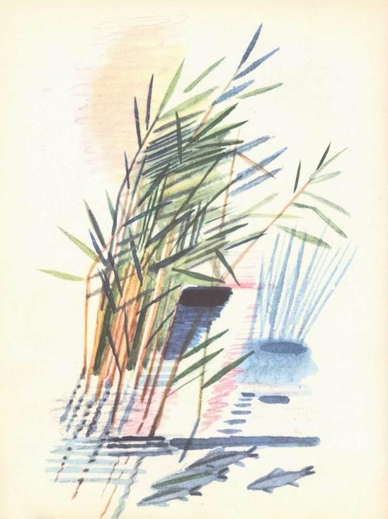 Воробьиное озеро (авторский сборник) - i_006.jpg