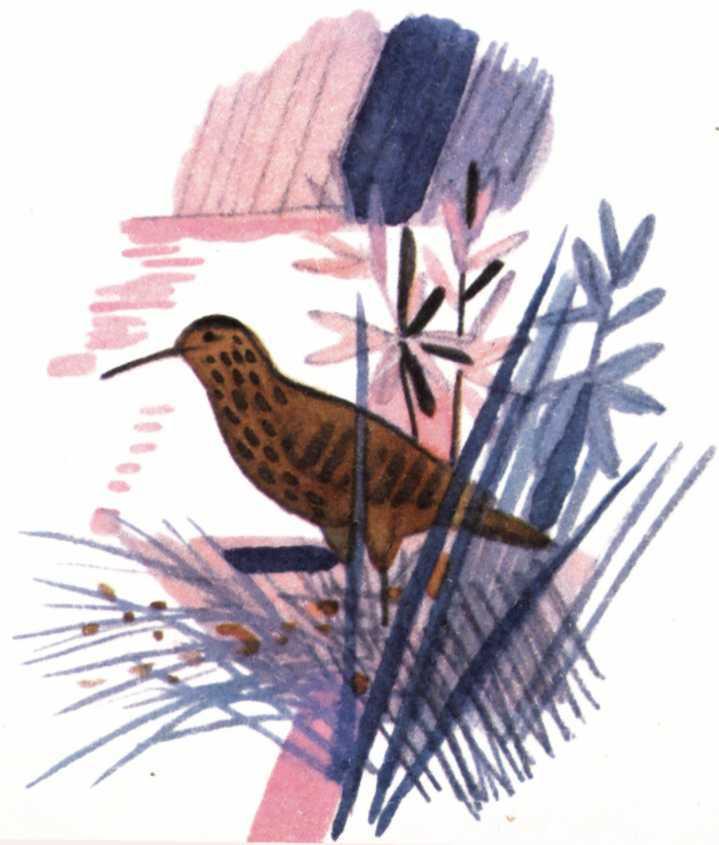 Воробьиное озеро (авторский сборник) - i_007.jpg