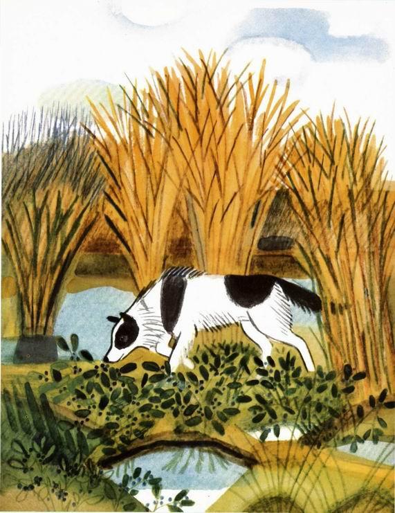 Воробьиное озеро (авторский сборник) - i_010.jpg