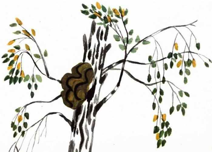 Воробьиное озеро (авторский сборник) - i_013.jpg