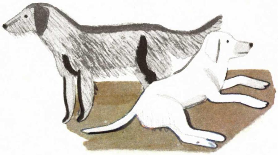 Воробьиное озеро (авторский сборник) - i_015.jpg