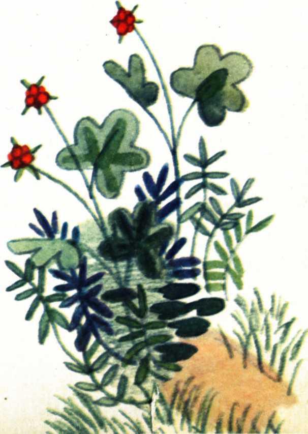 Воробьиное озеро (авторский сборник) - i_017.jpg