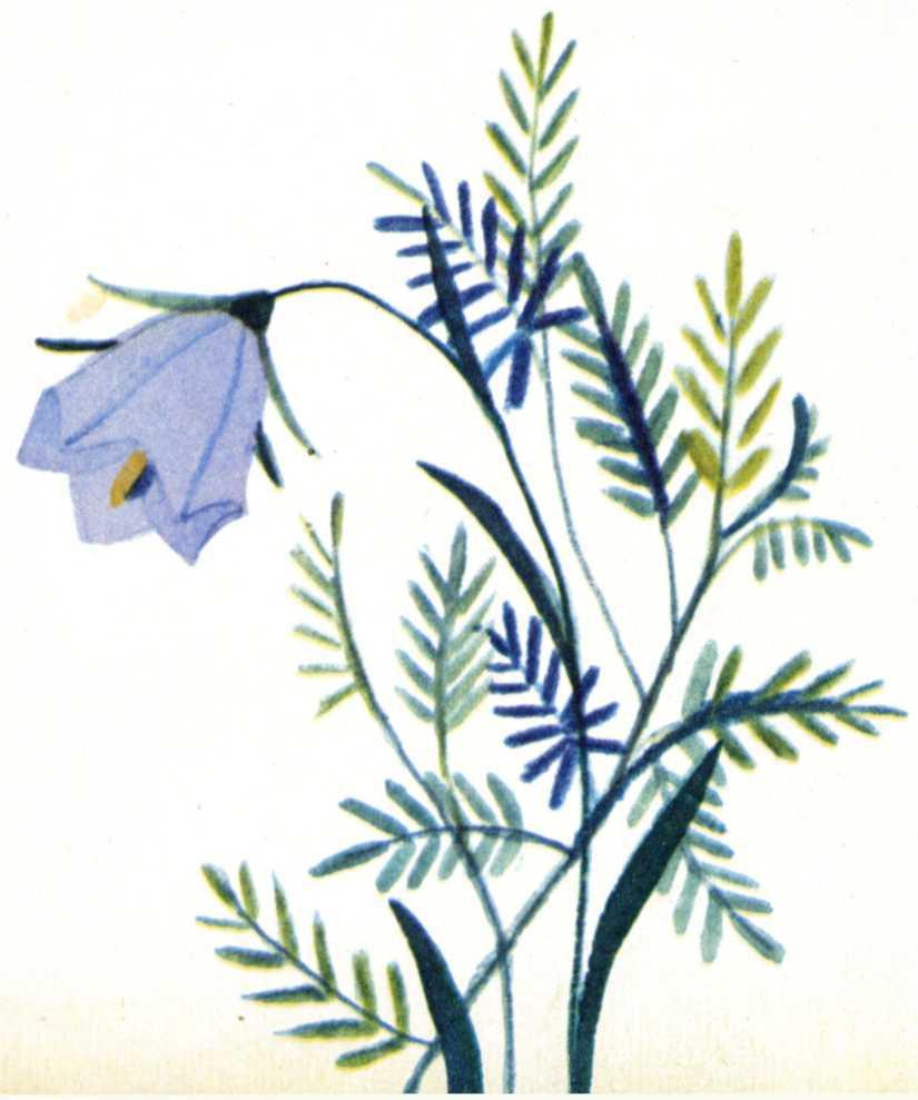 Воробьиное озеро (авторский сборник) - i_019.jpg