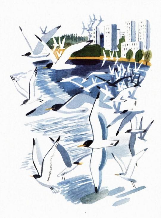 Воробьиное озеро (авторский сборник) - i_042.jpg