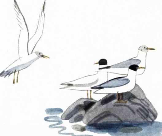 Воробьиное озеро (авторский сборник) - i_043.jpg