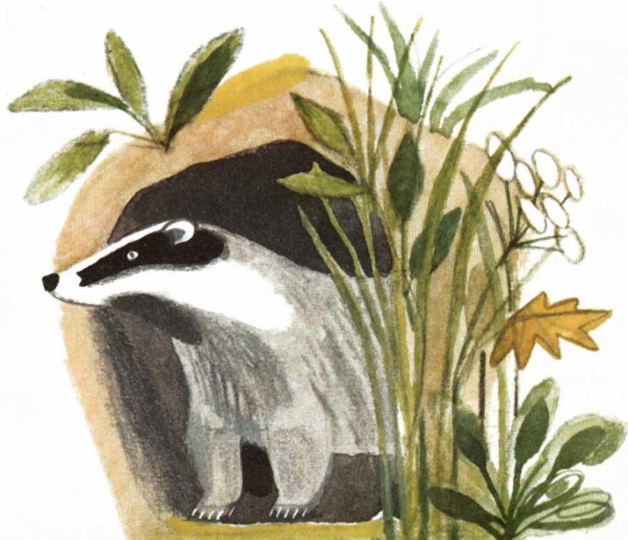 Воробьиное озеро (авторский сборник) - i_044.jpg