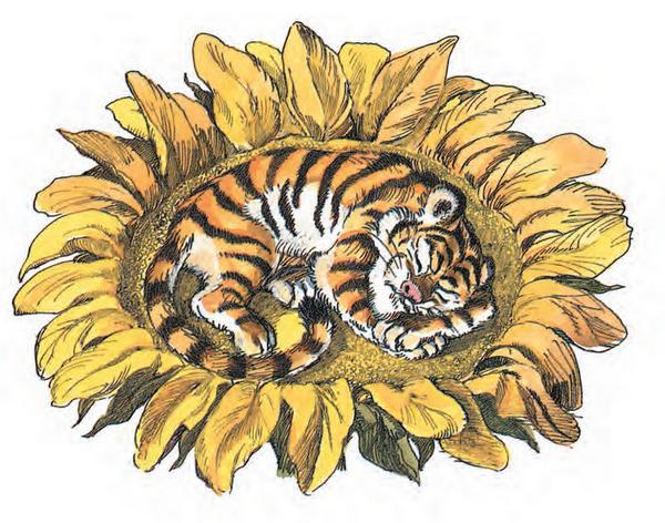 Сказка про Зелёную Лошадь (сборник) - i_014.jpg