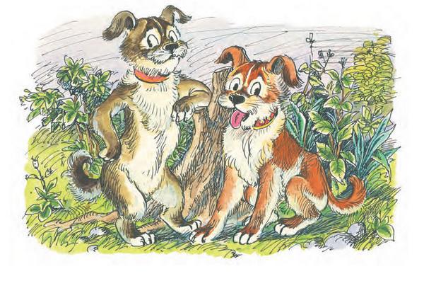 Сказка про Зелёную Лошадь (сборник) - i_021.jpg